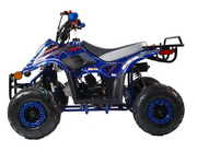 Supermach ATV CT110-2R with Reverse