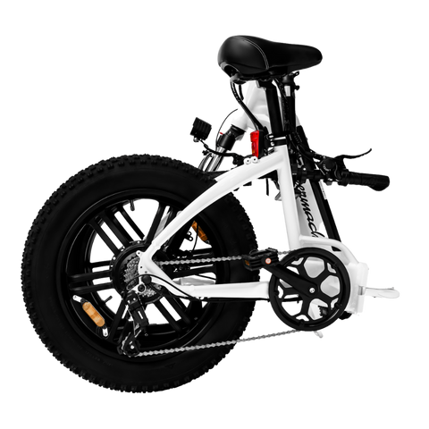 SM21 Black White Foldable Electric Bike