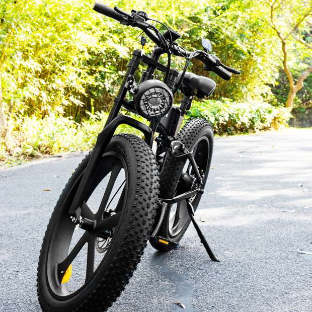 SM22 Everest Foldable Electric Mountain Bike (eMBT)