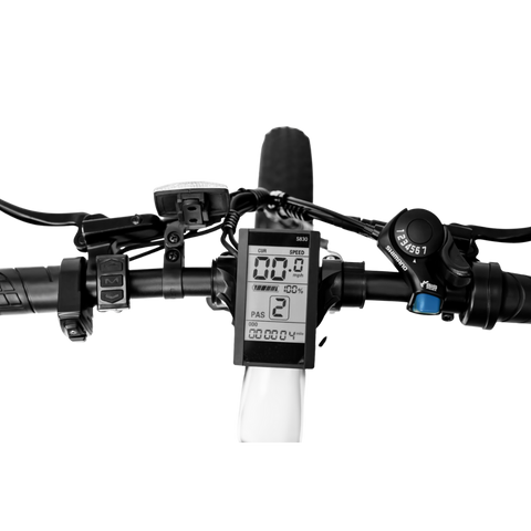 SM21 Black White Foldable Electric Bike