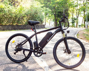 SM06 Hallstatt Non-Foldable Electric Bike